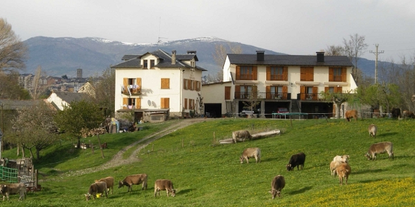 vista amb Puigerdà al fons