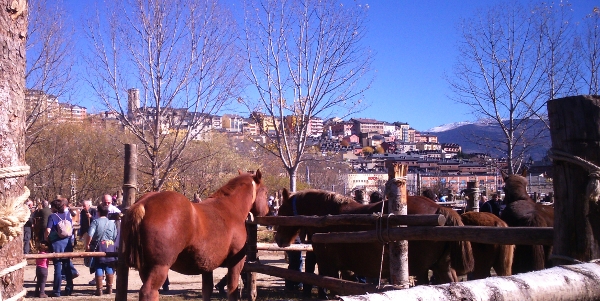feria