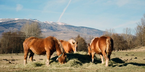 eugues al prat de dalt